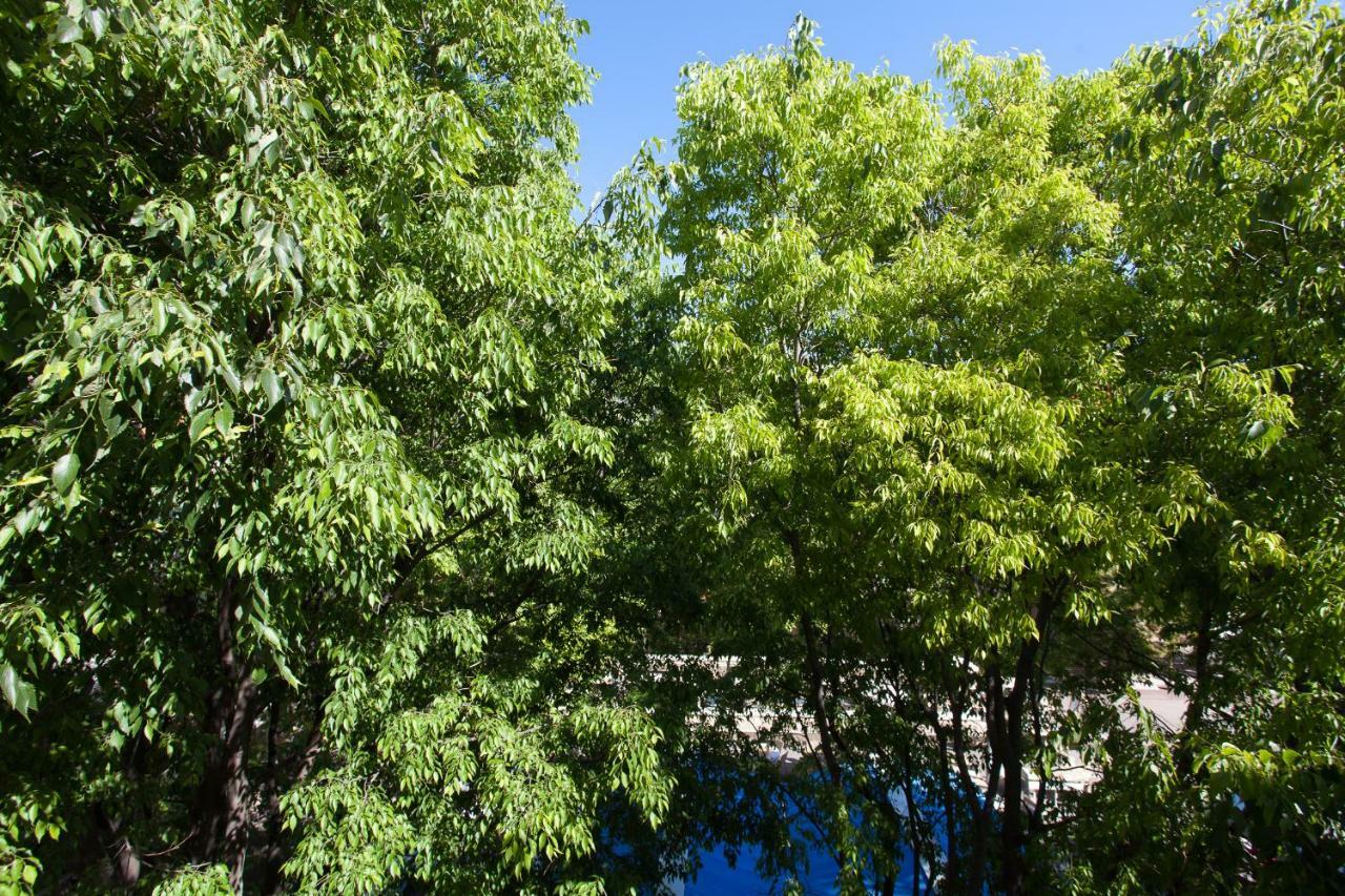 Superbe Appartement Loft Vieil Antibes Luaran gambar